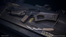 ꡼ No.012 | Predator: Hunting Groundsפ̵åץǡȤǥå郎꡼DLC2ƤǤϡ֥饤ץǥפ