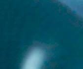 ꡼ No.010Υͥ / PRPCIe³Υǡץ㥫ɡGV-4K60/PCIEפ4K/60fpsեHD/240fpsμϿǽ򸡾ڤ