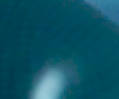 ꡼ No.011Υͥ / PRPCIe³Υǡץ㥫ɡGV-4K60/PCIEפ4K/60fpsեHD/240fpsμϿǽ򸡾ڤ