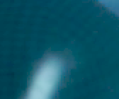 ꡼ No.012Υͥ / PRPCIe³Υǡץ㥫ɡGV-4K60/PCIEפ4K/60fpsեHD/240fpsμϿǽ򸡾ڤ