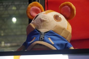 ꡼ No.011Υͥ / TGS 2019ϱϳšХåɥեȡޤޤʺۤƿ߽̿Co-opEmbrפΥץ쥤ݡȤǺ