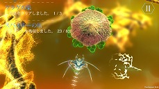 ���������꡼ No.007�Υ���ͥ������ / �ֿʲ��ΤҤߤ� ��̿�ΤϤ��ޤ�פ��ۿ����ϡ�����������������ʪ�򡤵���ʿ�����ʪ�ؤȿʲ������륢������󥲡���