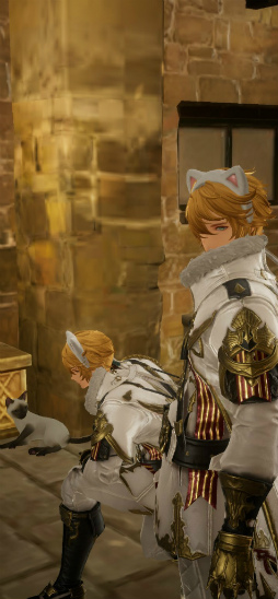 ���������꡼ No.007�Υ���ͥ������ / �֥���󥵥��ס�����ɶ����������λ����ɼ��󥷡�����γ��Ť�����