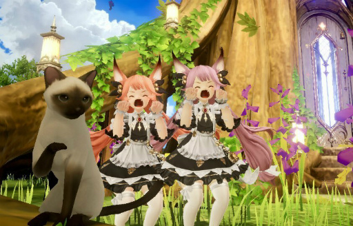 ���������꡼ No.009�Υ���ͥ������ / �֥���󥵥��ס�����ɶ����������λ����ɼ��󥷡�����γ��Ť�����