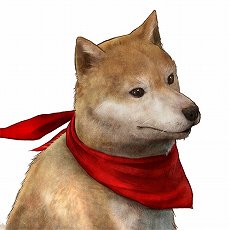 ꡼ No.004Υͥ / ֻƻ KATANAKAMIסϤˤʤɡХ饨ƥ˭ѿ饯ξ󤬸