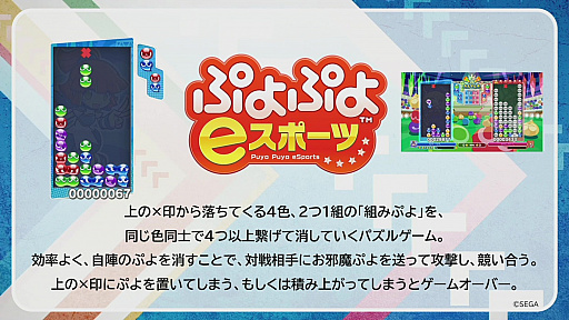 ꡼ No.006Υͥ / eݡĥե2022׳ݡȡ6ܤζϤȤeݡĤΤޤޤʥƥĤ3֤ˤ錄ۿ