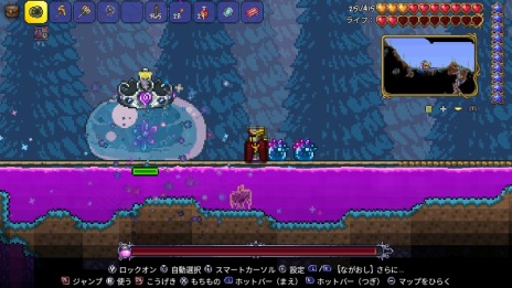 ꡼ No.008 | äȥ饤ǡ֥ƥꥢפͷˡǤ50󥪥դˤʤ̥2ָǼ»