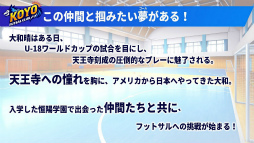 ꡼ No.012 | ֥եåȥܡ!!!!! ϥե꡼פӥ󡣵ǰץ쥼Ȥ俷ͥޥ͡㡼ܡʥⳫ