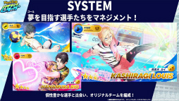 ꡼ No.017 | ֥եåȥܡ!!!!! ϥե꡼פӥ󡣵ǰץ쥼Ȥ俷ͥޥ͡㡼ܡʥⳫ