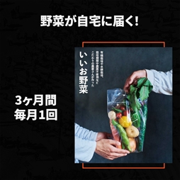 ꡼ No.003Υͥ / ֥쥸ɡ֡롼ƥEsports Beyond Cup 2021 LoR #2ɤ624˳