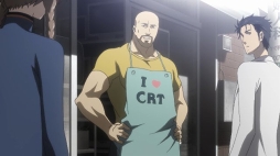 ꡼ No.013 | ԥե륢˥iOSǡSTEINS;GATE ELITEפ꡼10ǯۿ1117ޤǤϥʤ