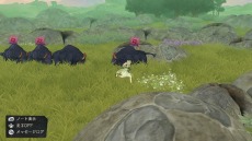 ꡼ No.009Υͥ / PCǡ֥ȥꥨ ϣѻ ȥ DXפSteamǥ꡼1ָ10󥪥ե»