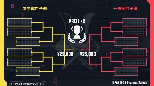 ���������꡼ No.002�Υ���ͥ������ / ���ܳ���esports����25�аʲ��оݤΡ�VALORANT������10��12����곫��