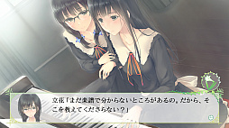 ꡼ No.009 | ɴϥߥƥꥣADVFLOWERS ͵פSwitchǤ1128ȯ