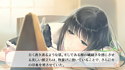 ꡼ No.010 | ɴϥߥƥꥣADVFLOWERS ͵פSwitchǤ1128ȯ