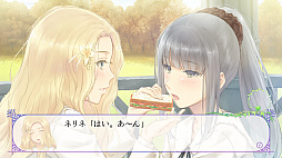 ꡼ No.014 | ɴϥߥƥꥣADVFLOWERS ͵פSwitchǤ1128ȯ