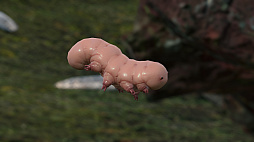 ꡼ No.070 | DEATH STRANDINGפ֤̿ιޥˤեȥ쥯Ҳ