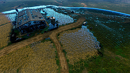 ꡼ No.099 | DEATH STRANDINGפ֤̿ιޥˤեȥ쥯Ҳ