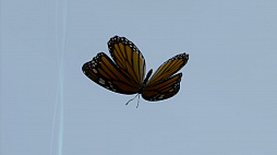 ꡼ No.102 | DEATH STRANDINGפ֤̿ιޥˤեȥ쥯Ҳ