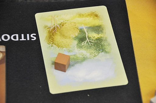 ���������꡼ No.006�Υ���ͥ������ / ��SPIEL'19�Ϻ����פ�Ȥä��饤�Ȥʥ����ɥ������House Flipper�ס���ŤβȤ��������ž�䡤˭����Ϸ����ܻؤ���