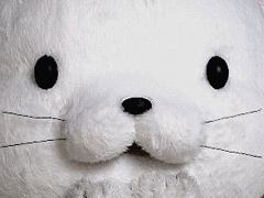 PC�ǡ�428 ���������줿��ë�ǡ��פ�80�󥪥դ�792�ߡ� �֥��ʥ��ѡ� �������ȥ����ꥢ��3�פ�399�ߡ��ֺ����Τ��٤���ߥ���������