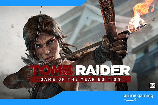  No.003Υͥ / Amazon֥ȥ쥤פμ¼̥ɥ޲ȯɽץ饤Prime GamingǤϡTomb Raider: Game of the Year Editionפ̵