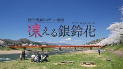 ꡼ No.001Υͥ / ֽġ˼ߥƥ꡼ न֡פȯ2020ǯߤ˱Ȥȥեߡƥ󥰤719˼»