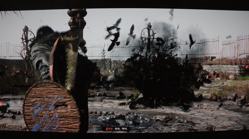 ꡼ No.013Υͥ / ֹȤκפκǿץ쥤֥ǥ⤬Ÿ档ܥΡȥإåޥ꡼ɤĩG-STAR 2024