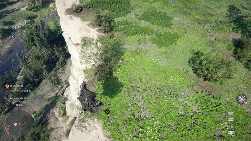 画像ギャラリー No.011のサムネイル画像 / ［プレイレポ］広大な世界，膨大な情報量が魅力の「紅の砂漠」で，序盤の詰まりやすいポイントを解説しよう