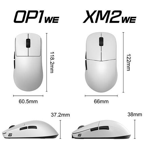 ���������꡼ No.005�Υ���ͥ������ / �Ĥ��߻����ò���Endgame Gear�������磻��쥹�ޥ���������ȯ��