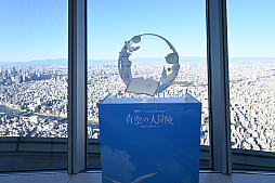 ꡼ No.037Υͥ / ָסĥ꡼ĶƳơץݡȡȾΥ꡼ɤϡϾ夫450mι⤵