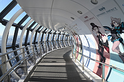 ꡼ No.041Υͥ / ָסĥ꡼ĶƳơץݡȡȾΥ꡼ɤϡϾ夫450mι⤵