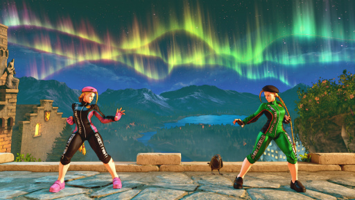 ���������꡼ No.019�Υ���ͥ������ / �֥���V�ס���45�����ǻ��ѤǤ���ȥ��ȥ꡼�ȥե��������꡼����Pro-JP 2022�ɽо�����ॳ�����塼�ब9��2�������ۿ����Ϥ�