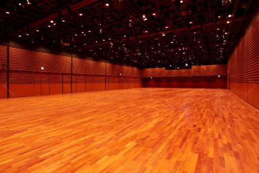 画像ギャラリー No.003のサムネイル画像 / 「ストリートファイターリーグ: Pro-JP 2021」,決勝大会のスポンサーはイベントスペースEBiS303