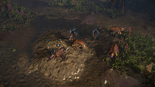 ꡼ No.013Υͥ / Path of Exileץ饤֥꡼ե󥰥ݡȡPoE2פοʥ󥸥㡼ϡưʤݤͤ褦