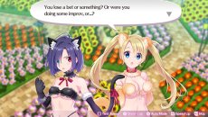 ꡼ No.008Υͥ / PCǡ֥ᥬӥ 饤աפSteamˤۿϡ30󥪥դΥ