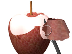 ������������������������ޥ۸�������������i Peel Good�פ�Ҳ𤹤�֡ʤۤܡ��������ޥۥ������̿�����2166��