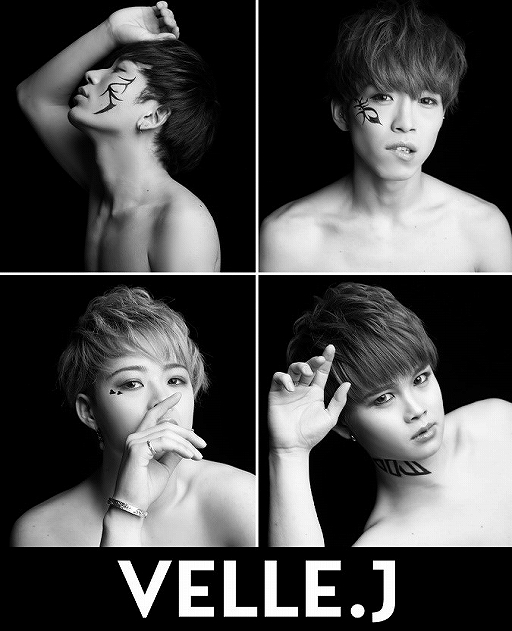 ꡼ No.008 | CocoPPa Dollsץɥ7Ȥˤ֥˥åȥǥХȥפ