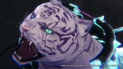 ꡼ No.020 | ֥إ֥С󥺥åɡץ꡼ǰ5祭ڡ󳫺档ƣĻбΥƥCM211