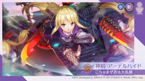 ���������꡼ No.008�Υ���ͥ������ / �֥إ֥�С��󥺥�åɡ���31C�����6�Τ��и����륹�ڥ���륬������������ϡ��������֥ܥ��ȥ����������å��㡼Y���о�