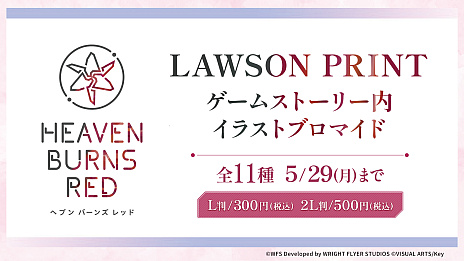 ���������꡼ No.008�Υ���ͥ������ / �֥إ֥Х�ס��������󥳥����2�Ƥ��������顣�桼������������������饹�Ȥ���Ѥ������å��䥪�ꥸ�ʥ�ѥå������Τ��ۻҤ��о�