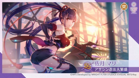 ꡼ No.009 | ֥إ֥С󥺥åɡץᥤ󥹥ȡ꡼;ϸԡƤĤ©봶428ۿȡ꡼֤ꥵȤ