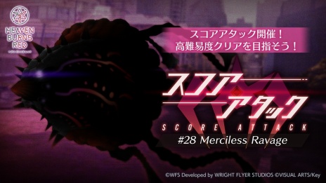 ꡼ No.013 | 31D֤˷դ!? ֥إ֥С󥺥åɡסȡ꡼٥ȡPeace of Cradleפۿ