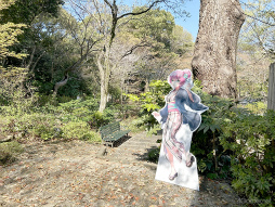 ꡼ No.009 | Ϥ31Aɤо!?֥إ֥С󥺥åɡסߡ˭ ץܥ٥ȥݡ