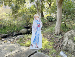 ꡼ No.010 | Ϥ31Aɤо!?֥إ֥С󥺥åɡסߡ˭ ץܥ٥ȥݡ