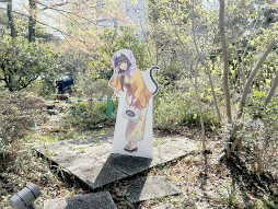 ꡼ No.011 | Ϥ31Aɤо!?֥إ֥С󥺥åɡסߡ˭ ץܥ٥ȥݡ