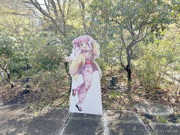 ꡼ No.012 | Ϥ31Aɤо!?֥إ֥С󥺥åɡסߡ˭ ץܥ٥ȥݡ