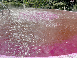 ꡼ No.018 | Ϥ31Aɤо!?֥إ֥С󥺥åɡסߡ˭ ץܥ٥ȥݡ