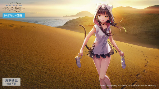 ꡼ No.003Υͥ / ˥塩֥إ֥Х3.5thեݡȡڡ緿åץǡȾޤȤ