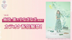 ꡼ No.010Υͥ / ˥塩֥إ֥Х3.5thեݡȡڡ緿åץǡȾޤȤ